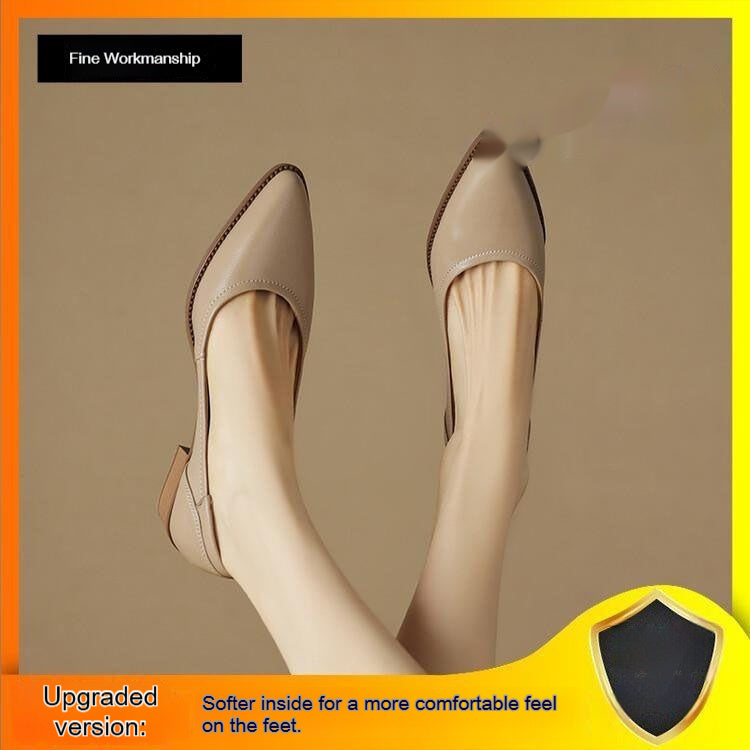 Women's French-Style Pointed-Toe Mid-Heel Mary Jane Leather Shoes - Waterproof Kitten Heel